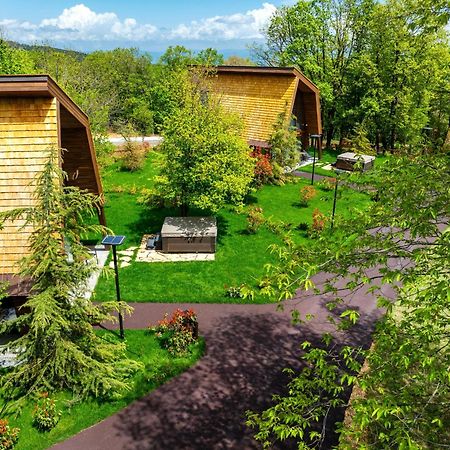 Bioli Wellness Resort Kojori Zewnętrze zdjęcie